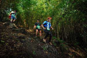 BIB: 
                            <button type="button" onclick="openModal(25088892)" class="btn btn-primary btn-sm float-right btn-popup" data-toggle="modal" data-target=".modal-high-quality">
                        <i class="fas fa-shopping-cart"></i> Add to Cart
                    </button>
                                            <button type="button" onclick="isThisMe(25088892, true)" class="btn btn-success btn-sm float-right btn-popup btn-isme hidden" data-toggle="tooltip" data-placement="bottom" title="นี่คือรูปของคุณใช่ไหม คลิกที่นี่เพื่อเอาเข้าอัลบั้ม">
                        <i class="fas fa-plus"></i> Add to album
                    </button>
                    <button type="button" onclick="isThisMe(25088892, false)" class="btn btn-warning btn-sm float-right btn-popup btn-isnotme hidden">
                        <i class="fas fa-ban"></i> Remove from album
                    </button>